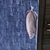 Large arrowanna for sale tropical fish Oscar discus malawi
