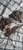 Bogwood new unused 3 pieces