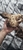 Bogwood new unused 3 pieces