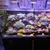 MARINE TANK BREAKING DOWN - ALL FOR SALE