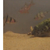 Spotted Congo Puffer