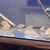 Midevil Cichlids