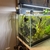 140 Lt Fishtank full Setup