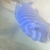 Malawi cichlids for sale
